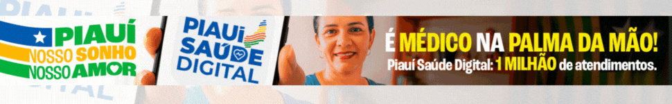 DIA DO PIAUI 2