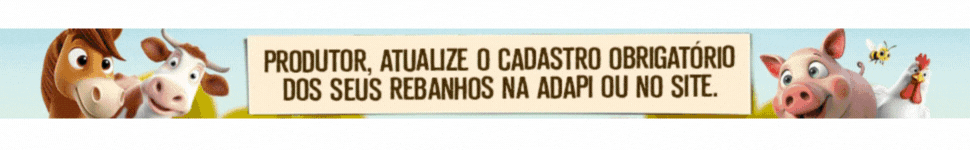 Atualização Cadastral GOV PI