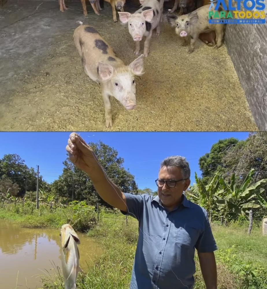 Prefeitura municipal de Altos, através da secretaria de agricultura,incentiva agricultores do município com projetos e assistência.