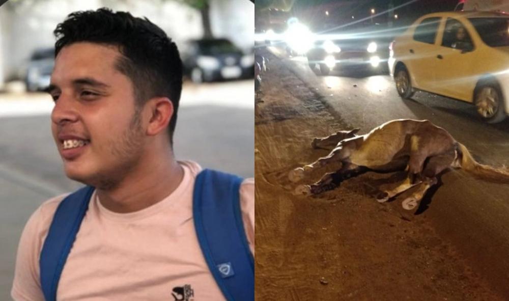 Altos-PI: Homem morre após colidir sua motocicleta com cavalo em rodovia