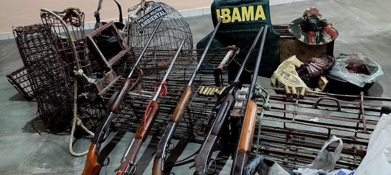 Operação mandacaru: Ibama apreende aves silvestres e armas, no Ceará