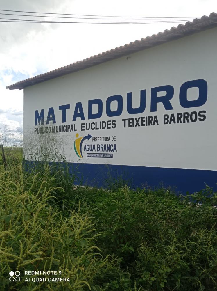 Água Branca-PI: Animais são abatidos em condições precárias e insalubres em matadouro 