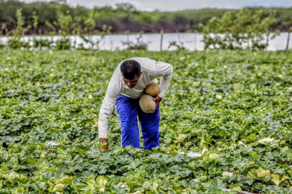 Foto/Reprodução: Governo do Estado do Ceará.