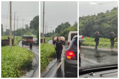 Vigilantes são atacados por enxame de abelhas após colmeia cair em cima de carro-forte no Maranhão