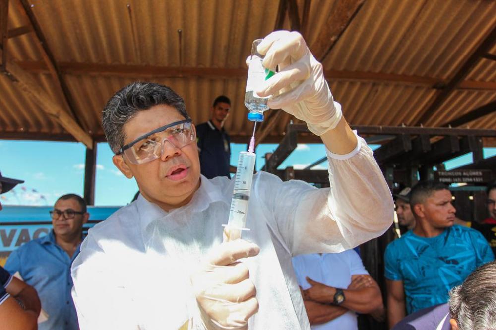 Aftosa: prazo para vacinar encerra dia 30 de abril e não será prorrogado