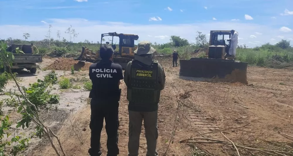 Semarh deflagra 9ª Operação Cerrado Vivo contra o desmatamento ilegal no Sul do Piauí