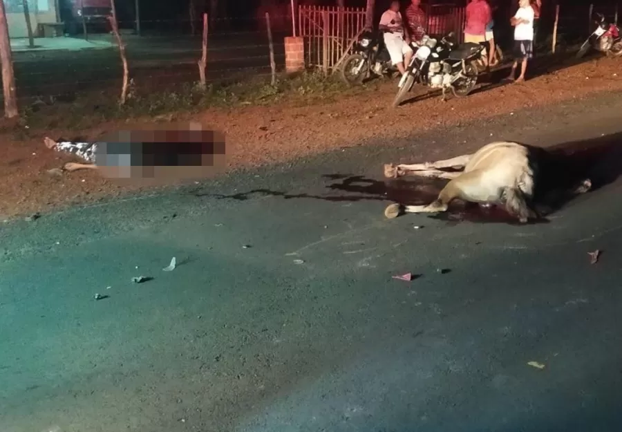 Colisão entre moto e animal deixa vitima fatal na zona rural de Barras (PI)