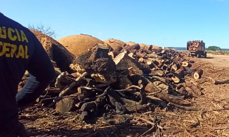 Policiais resgatam 12 trabalhadores de condições análogas à escravidão no MA
