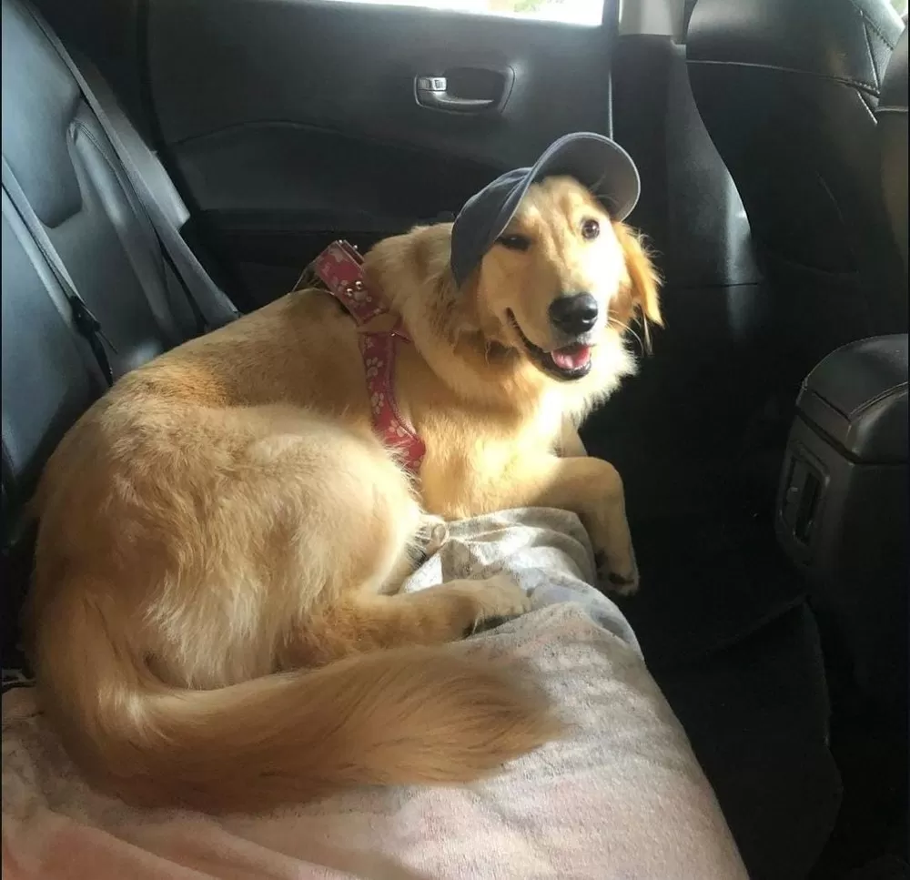 Foto/Reprodução: Internet