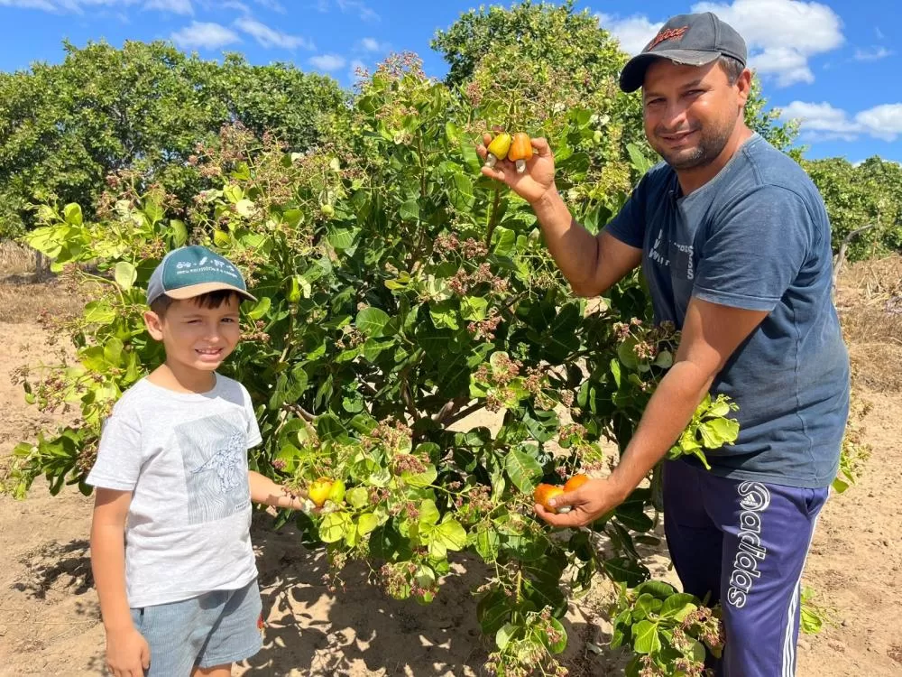 Foto/Reprodução: Governo do Estado do Piauí