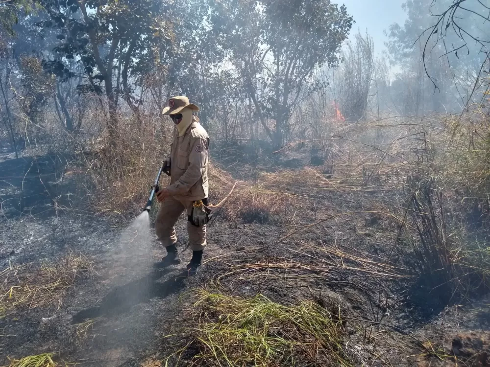Maranhão registra 496 incêndios em áreas rurais e florestais; aponta levantamento