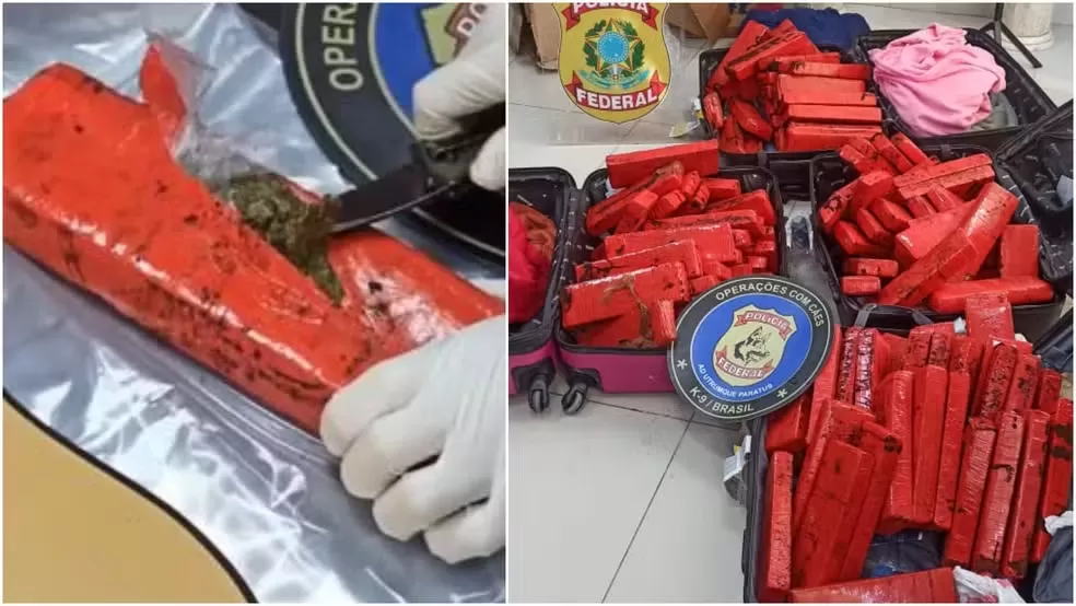 Passageiras são presas pela PF no aeroporto de Fortaleza com 132 tabletes de maconha nas malas