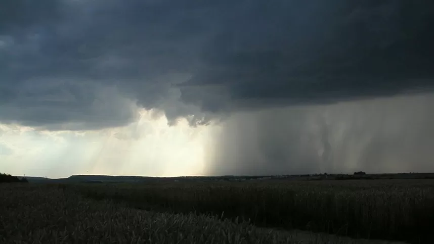 Mudança no tempo traz Impactos para a agricultura