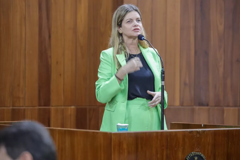 O foco é o estado do Piauí: afirma Gracinha Mão Santa sobre eleições para 2026