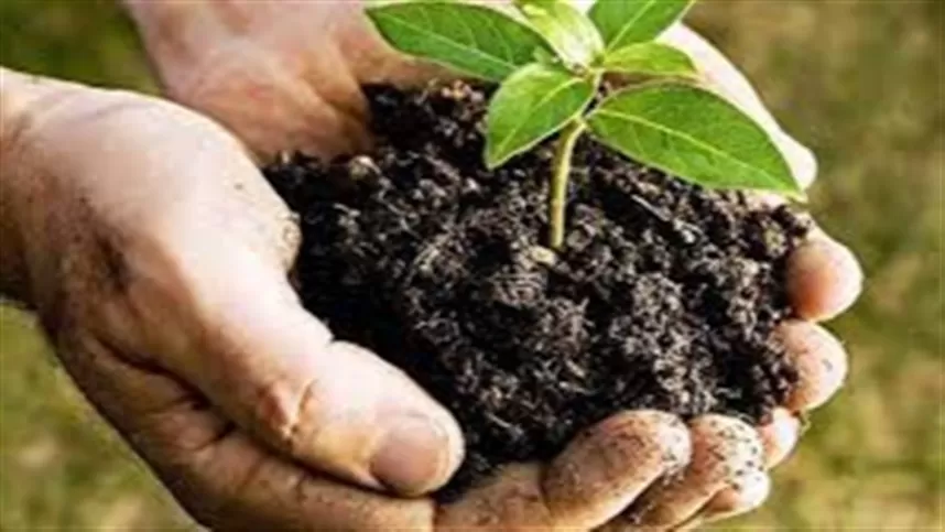 Inovação no setor de insumos agrícolas