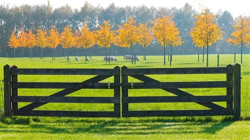 Senado debate modernização do Seguro Rural