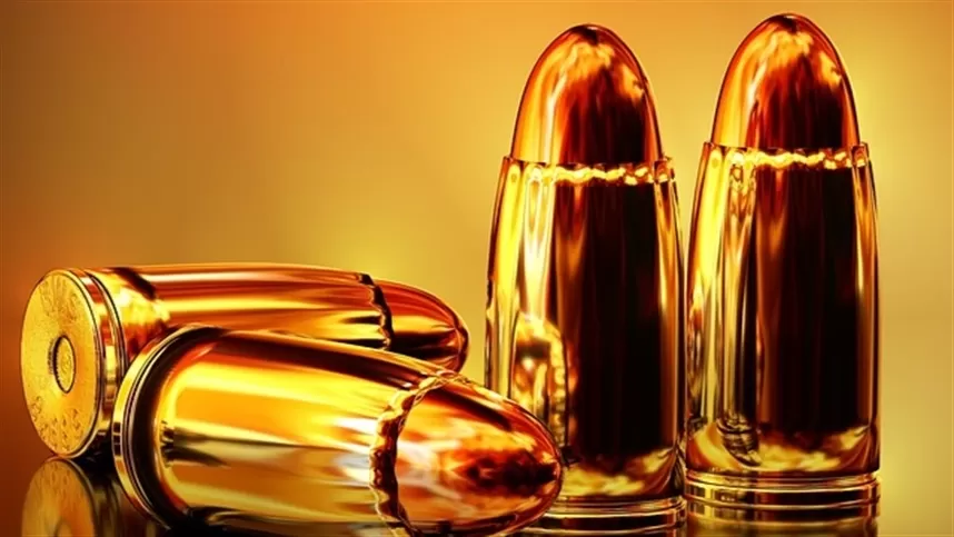 Projeto flexibilizar armas no campo