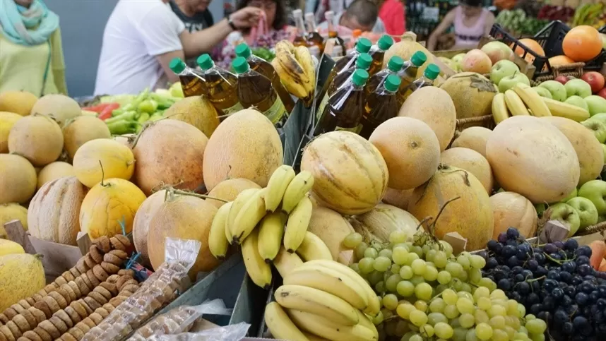 Inovação na horticultura impulsiona sustentabilidade