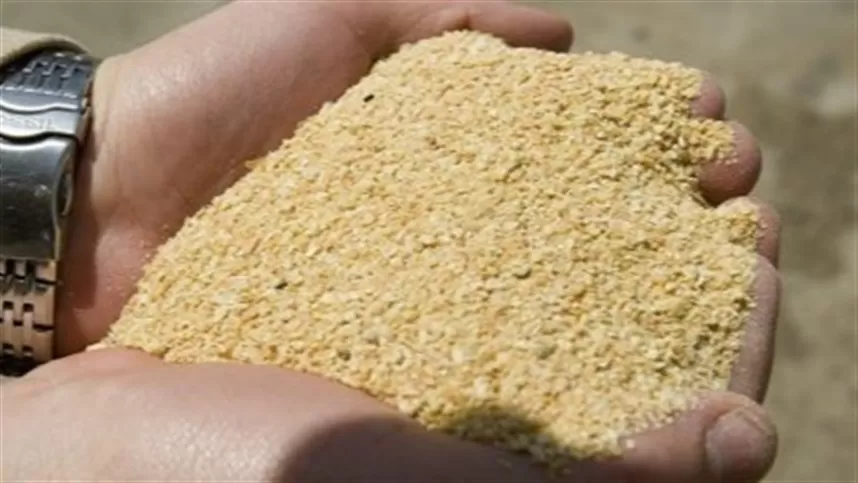 Estoque de farelo e safra maior desafiam a soja brasileira 