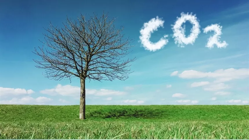 Mercado de Carbono deve fomentar a preservação ambiental