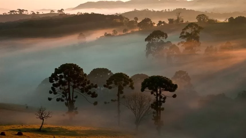 Ciclone no Sul do Brasil impulsiona frente fria