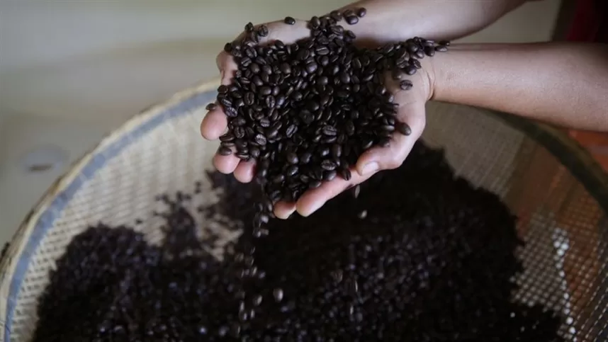 Um ano desafiador para o mercado de café