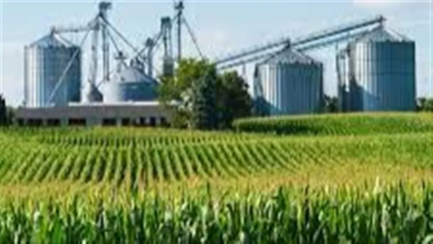 Agroindústria brasileira registra crescimento robusto