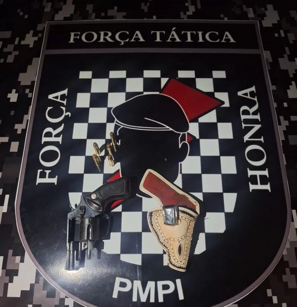Homem é preso por porte ilegal de arma de fogo na BR-222, em Matias Olímpio