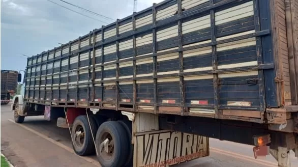 PRF intercepta cinco caminhões com animais transportados de forma irregular no Maranhão