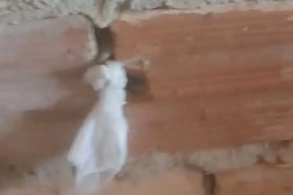 Mãe denuncia vizinho por violação de privacidade e assédio em Barras