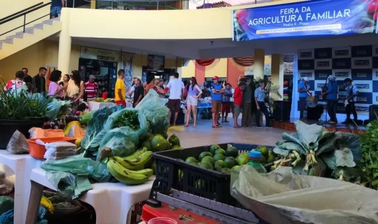 Pedro II realiza Feira da Agricultura Familiar com produtos frescos e sustentáveis