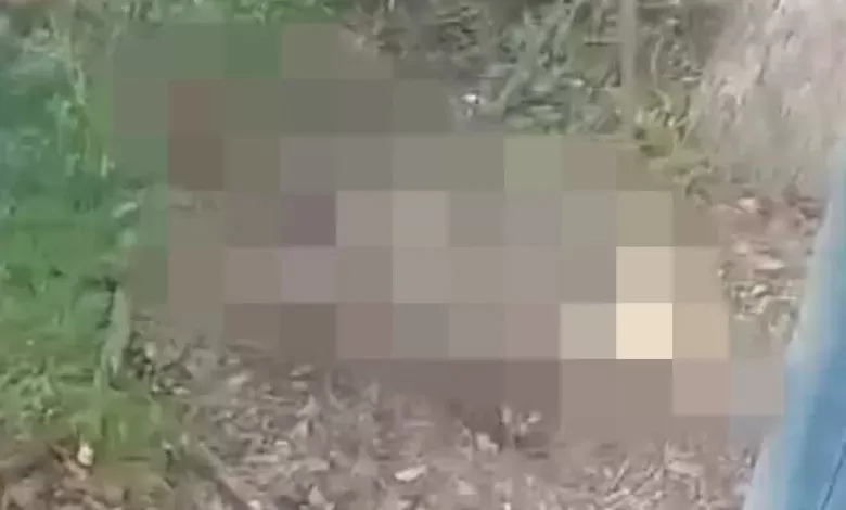 Ossada humana é encontrada em Jaicós-PI: Polícia Militar foi acionada