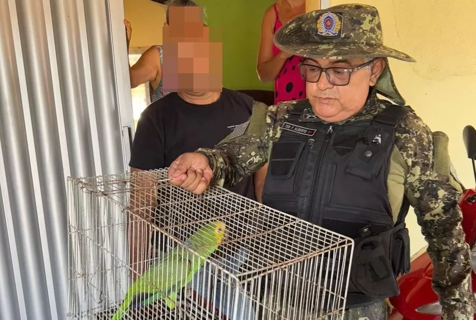 Operação resgata aves silvestres e macaco mantido em cativeiro em Esperantina