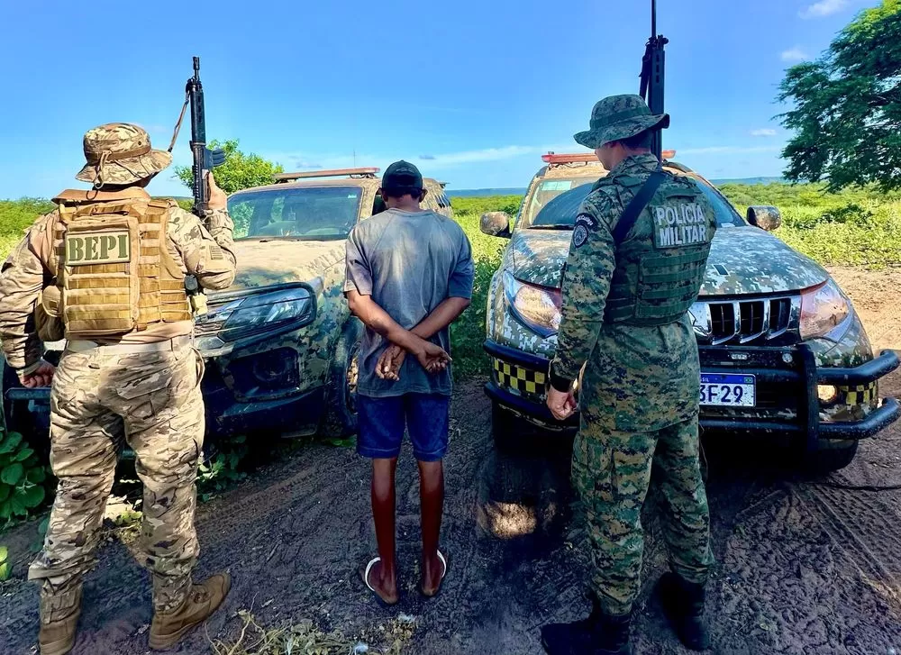 PM desarticula plantação de maconha com capacidade para produzir cerca de 5 toneladas da droga