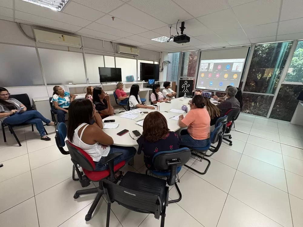 Sesapi reúne municípios para discutir ações de saúde durante o Carnaval 2025