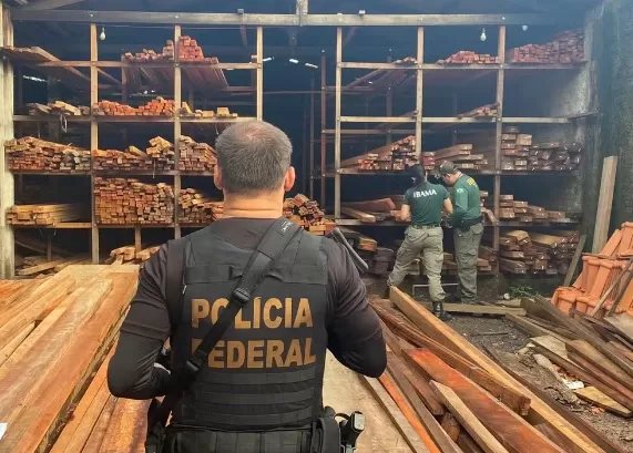  PF deflagra operação contra extração ilegal de madeira no Maranhão
