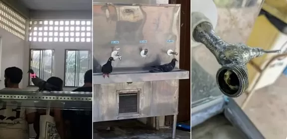 Estudantes da UFMA encontram larvas em feijoada do Restaurante Universitário e denunciam falta de higiene