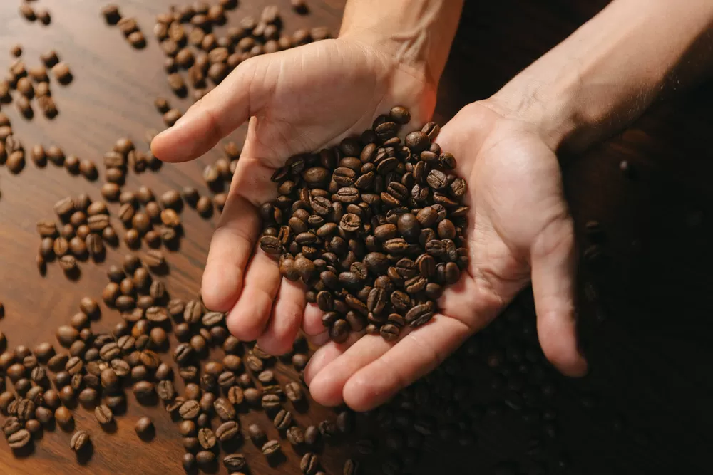 Altos preços do Café devem durar quatro anos, prevê Organização das Nações Unidas