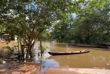 Enchentes provocam estragos e deixam famílias desabrigadas em cidades do Maranhão