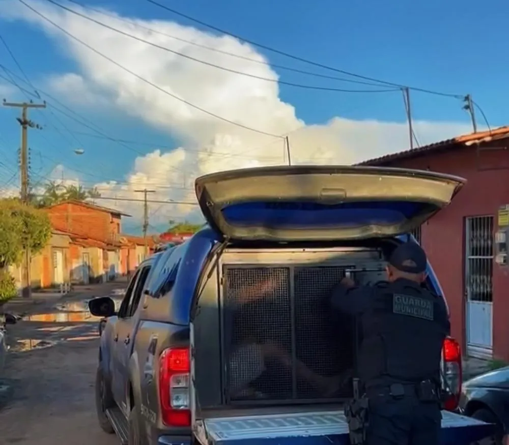 Homem com mandado por homicídio no trânsito é preso em Imperatriz