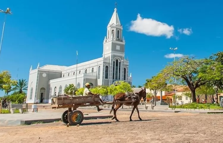 Vereador Wellington Sena defende o fim das carroças puxadas por animais em Campo Maior (PI)