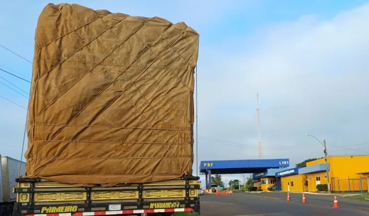 PRF flagra transporte ilegal de madeira nativa em Piripiri e apreende caminhão na BR-343