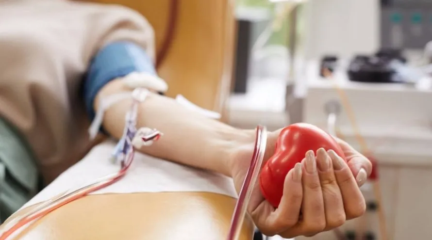 Secretaria de Saúde de Aldeias Altas Realiza Grande Campanha de Doação de Sangue nesta quarta-feira (03)