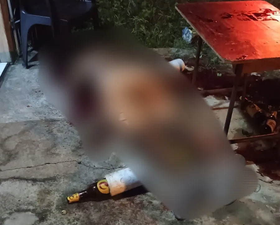 internet/reprodução