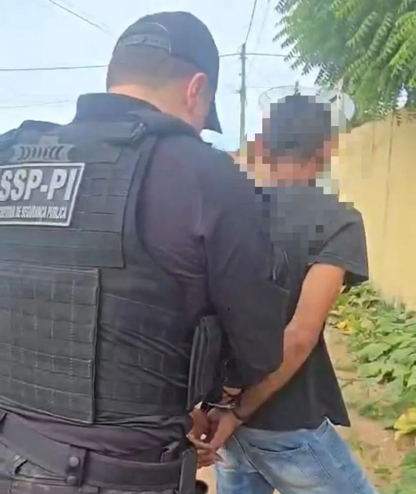 Operações reforçam combate a crimes e animais soltos em rodovia do Norte do Piauí