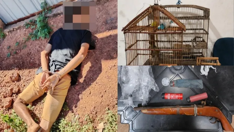 Homem é preso após atirar contra PMs e manter pássaro silvestre em cativeiro em Buriti Bravo