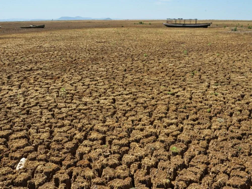 Governo de Pernambuco decreta emergência em 75 municípios por conta da seca