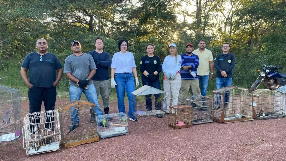 Mais Vida na Natureza: 50 Animais Silvestres São Devolvidos ao Habitat no Norte do Piauí