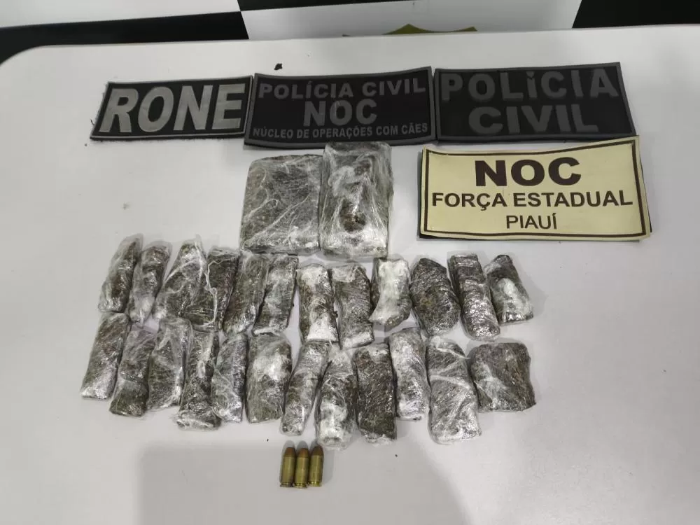 Polícia Civil realiza megaoperação contra tráfico na região conhecida como 'Cidade sem Deus' em Parnaíba