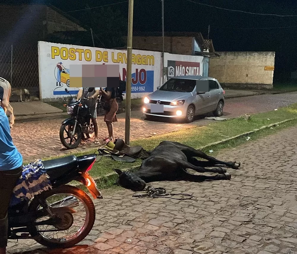 Égua morre eletrocutada ao encostar em poste no centro de Esperantina